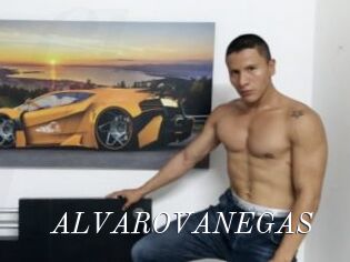 ALVAROVANEGAS