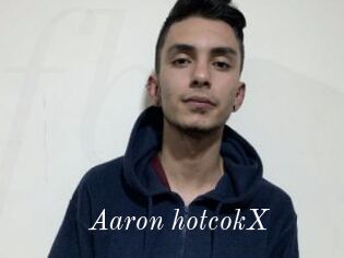 Aaron_hotcokX