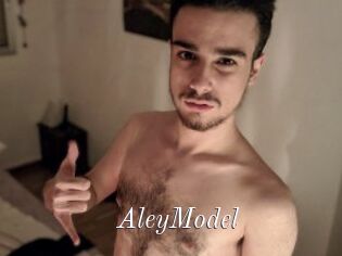 AleyModel