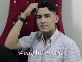 AndyMontenegro