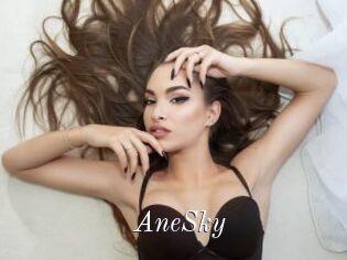 AneSky