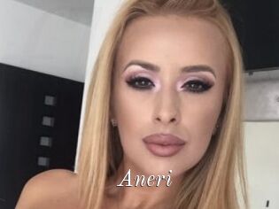 Aneri