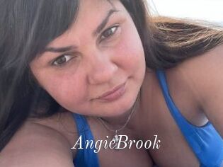 AngieBrook