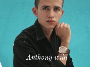 Anthony_wild