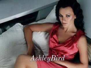 AshleyBird