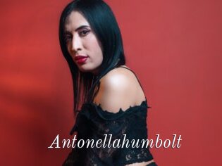 Antonellahumbolt