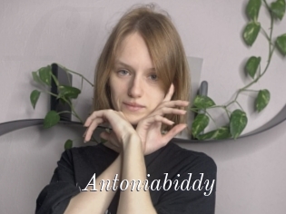 Antoniabiddy