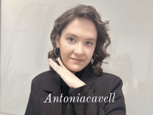 Antoniacavell