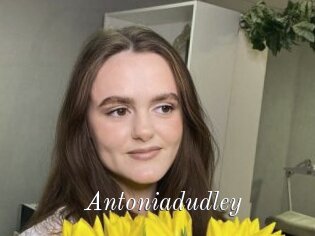 Antoniadudley