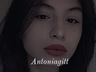 Antoniagitt