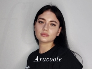 Aracoote