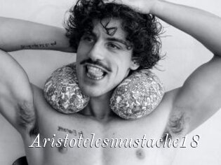 Aristotelesmustache18