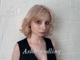 Ashleycodling