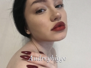 Audreybigge