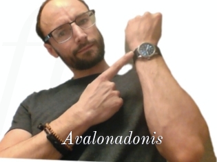 Avalonadonis