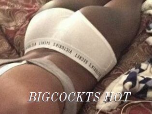 BIGCOCKTS_HOT