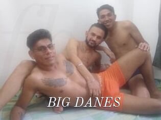 BIG_DANES