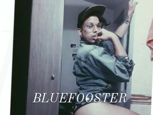 BLUEFOOSTER