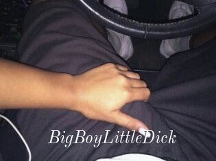 BigBoyLittleDick