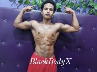 BlackBodyX