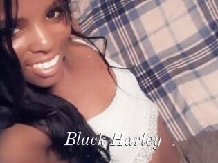 Black_Harley