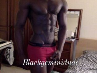 Blackgeminidude