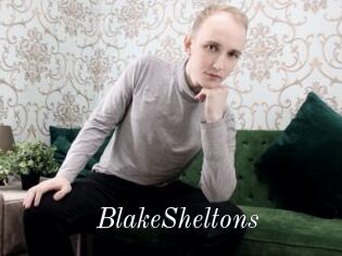 BlakeSheltons