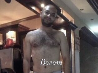 Bosom