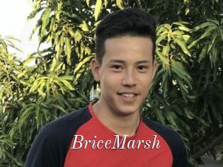 BriceMarsh