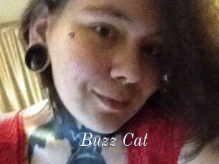 Buzz_Cat