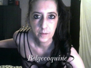 Belgecoquine