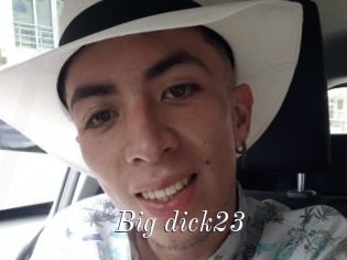 Big_dick23