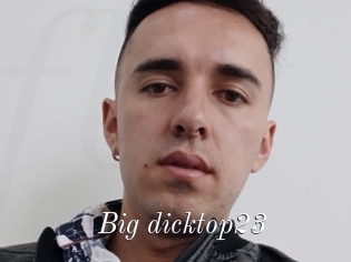 Big_dicktop23