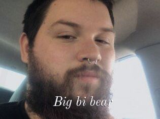 Big_bi_bear