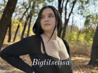 Bigtitselisa