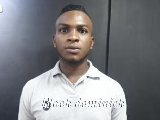 Black_dominick