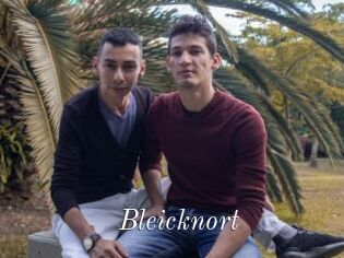 Bleicknort