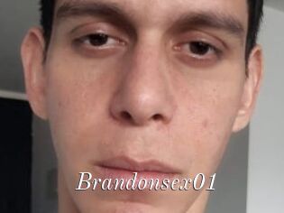 Brandonsex01