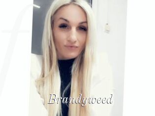 Brandyweed