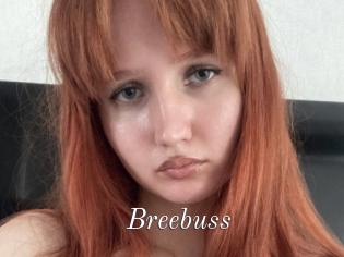 Breebuss