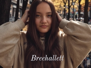 Breehallett