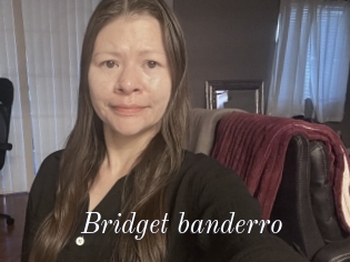 Bridget_banderro