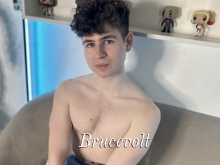 Brucevolt