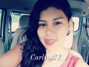 Carlina23