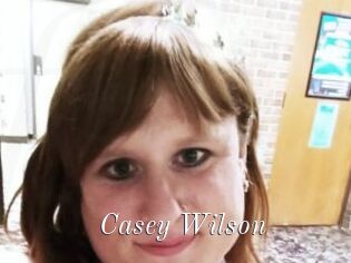 Casey_Wilson