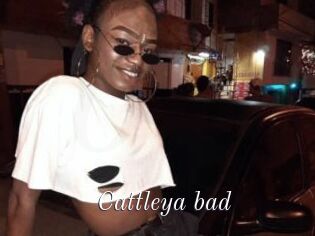 Cattleya_bad