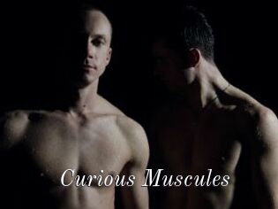 Curious_Muscules