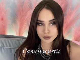 Cameliacurtis