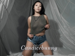 Candicebunny