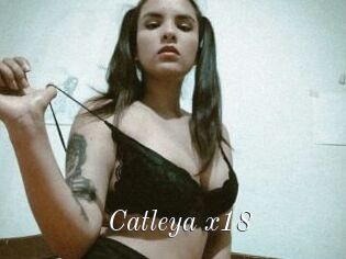 Catleya_x18